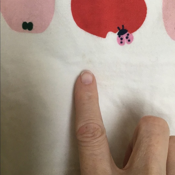 KIDS 😄 Hanna Andersson Apples & Ladybugs T shirt - Picture 6 of 11